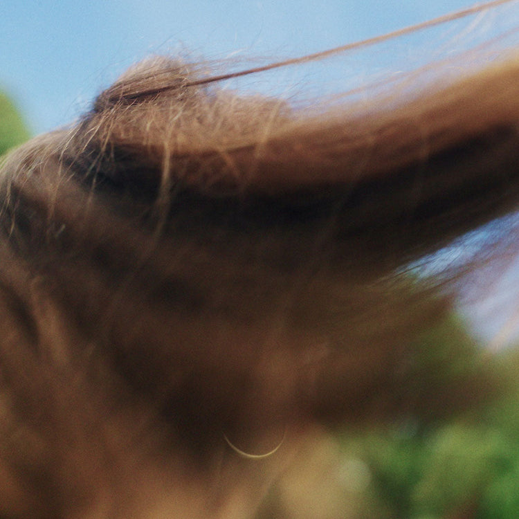 A Guide To The Hair Growth Cycle